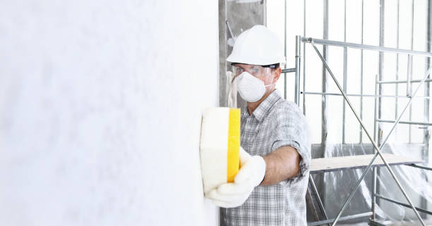 Best Biohazard Mold Removal  in Jean Fitte, LA