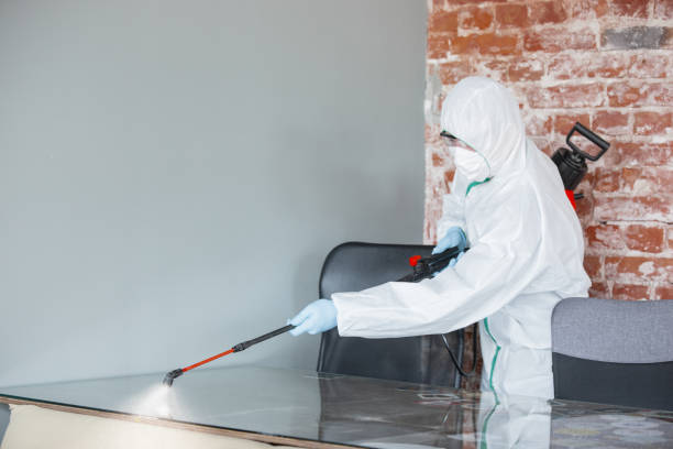 Best Black Mold Removal  in Jean Fitte, LA