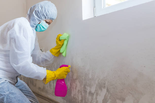 Best Mold Removal for HVAC Installations  in Jean Fitte, LA