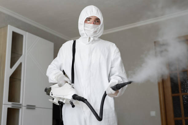 Best Asbestos and Lead Testing During Mold Inspection  in Jean Fitte, LA