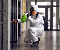 Best Basement Mold Removal  in Jean Fitte, LA